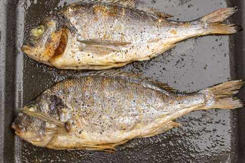 Fisch im ganzen grillen