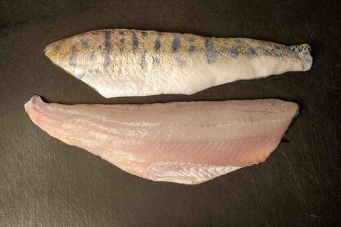 Frisches Zanderfilet mit Haut auf dem Schneidebrett