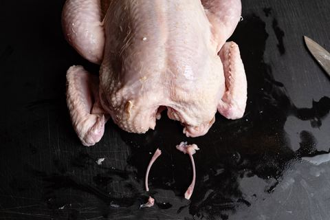 Hähnchenbrust Knochen vorne auslösen