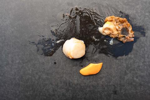 Einzelne Jakobsmuschel mit Corail und Muschelorganen auf schwarzer Arbeitsfläche