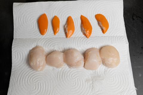 Jakobsmuscheln und Corail auf Küchenpapier trocken gelegt, vorbereitet zum Braten