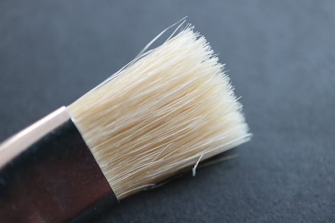 Pinsel zum Pilze reinigen