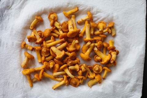 Pfifferlinge putzen