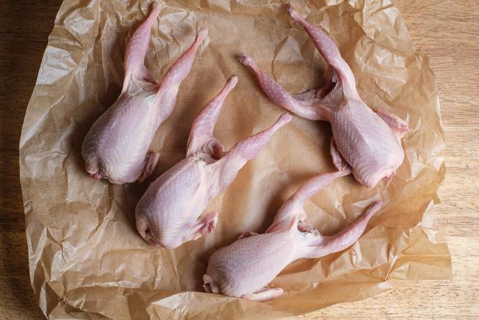 Wachteln frisch auf dem Küchenbrett