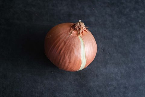 Zwiebel